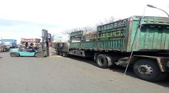 北京倉(cāng)儲(chǔ)貨運(yùn)哪家好